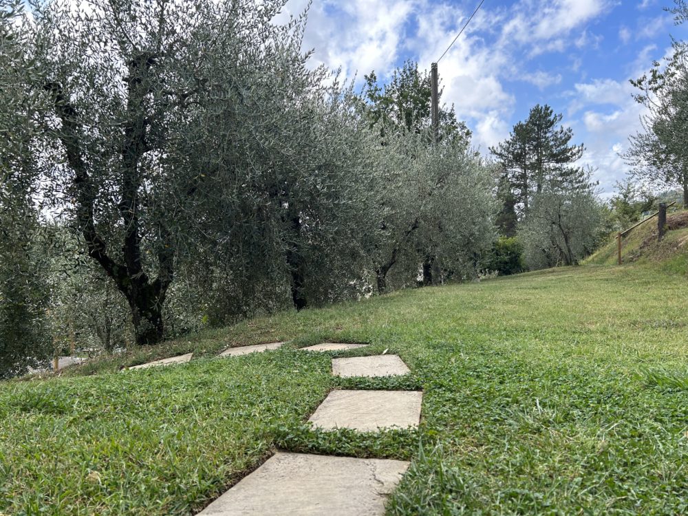 Whispers of Tuscany: Olive-Scented Serenity