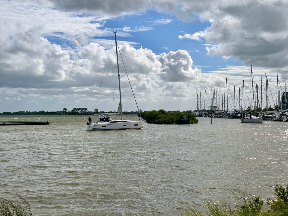 The Netherlands’ Markermeer: A Story of Survival and Splendor