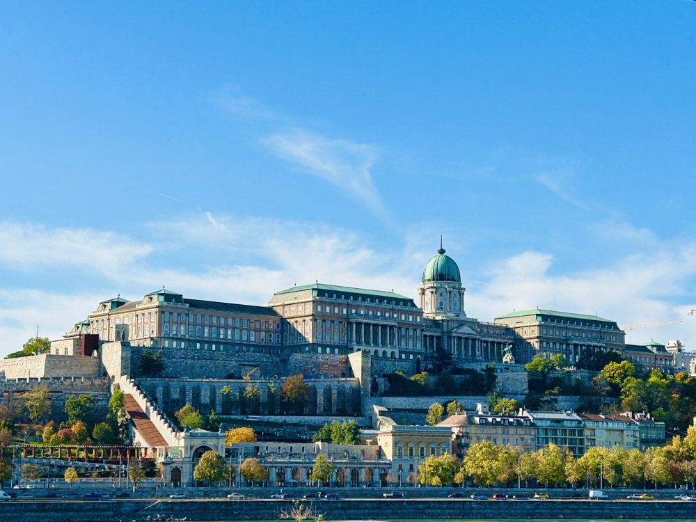 The Majestic Buda Castle: A Panoramic Spectacle