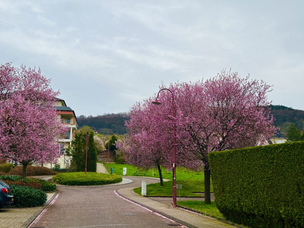 Spring’s Unstoppable Arrival in Luxembourg